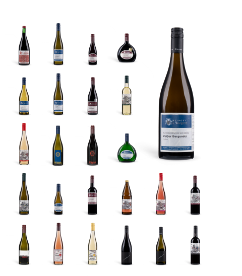 Studiofotos des Sortiments vom Weingut Waigand, alle Flaschen mit gleichem Licht und Ausschnitt im Raster
