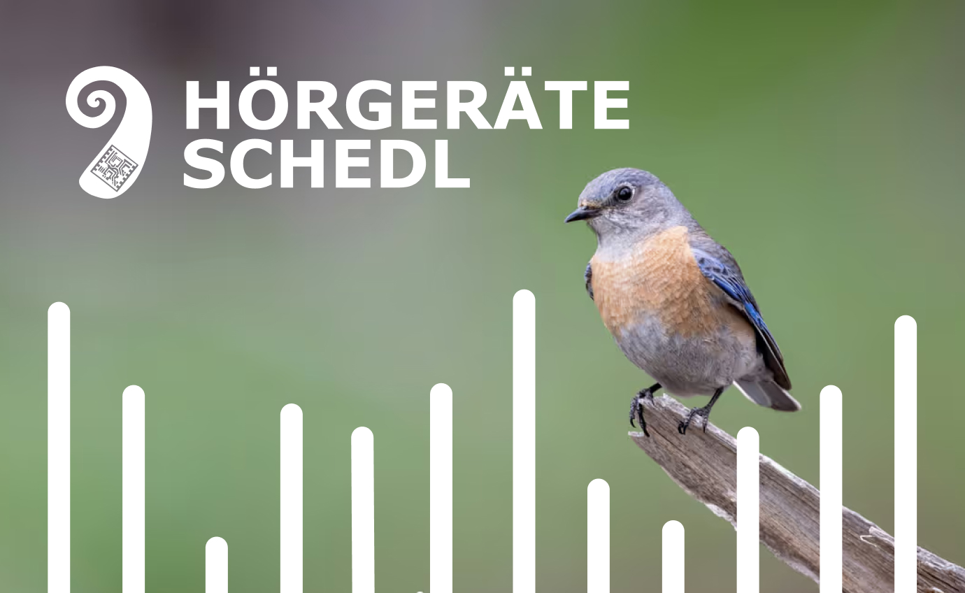 Kollage mit einem Singvogel, einer grafischen Visualisierung von Tonhöhen und dem Logo von Hörgeräte Schedl