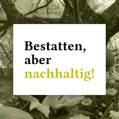 Grafik mit wei&szlig;em Textfeld auf einem nat&uuml;rlichen Hintergrund mit Blumen und B&auml;umen. Text: 'Bestatten, aber nachhaltig!'.